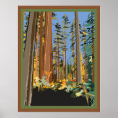 California Trees Poster (Voorkant)