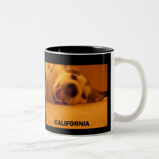 CALIFORNIA TWEEKLEURIGE KOFFIEMOK