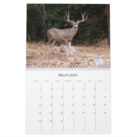 California USA Calendar Kalender (Mar 2026)