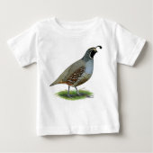 California Valley Quail (Voorkant)