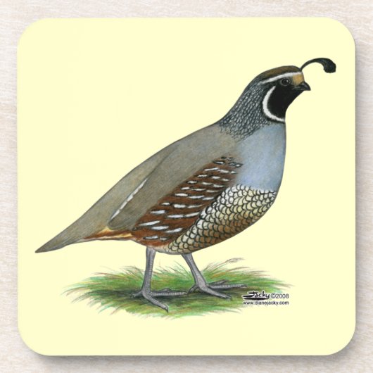 California Valley Quail Bier Onderzetter (Voorkant)