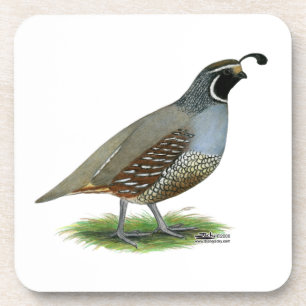 California Valley Quail Bier Onderzetter