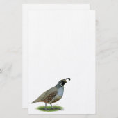 California Valley Quail Briefpapier (Voorkant / Achterkant)