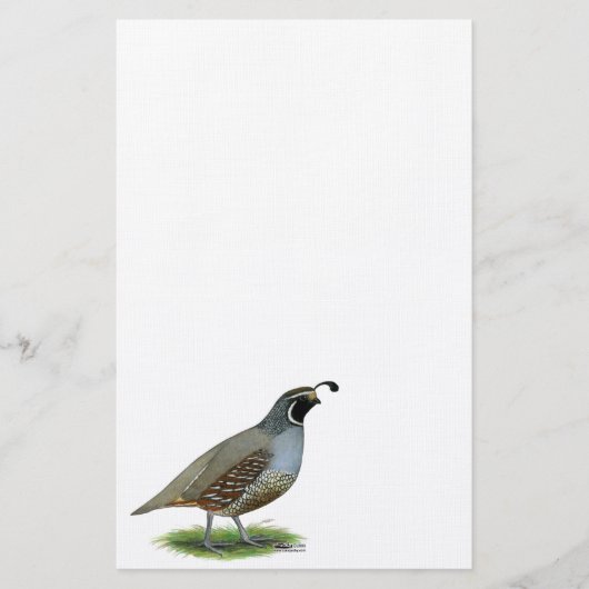California Valley Quail Briefpapier (Voorkant)