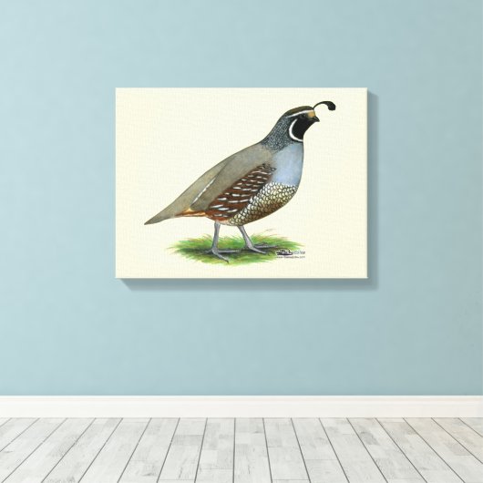 California Valley Quail Canvas Afdruk (Insitu (Houten vloer))