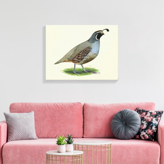 California Valley Quail Canvas Afdruk (Insitu (Woonkamer))