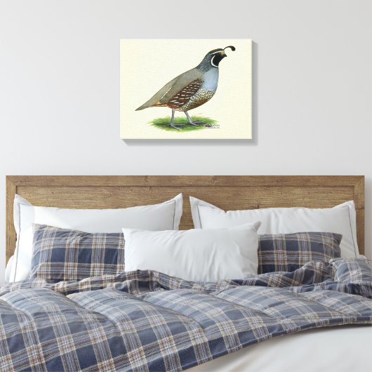 California Valley Quail Canvas Afdruk (Insitu (Slaapkamer))