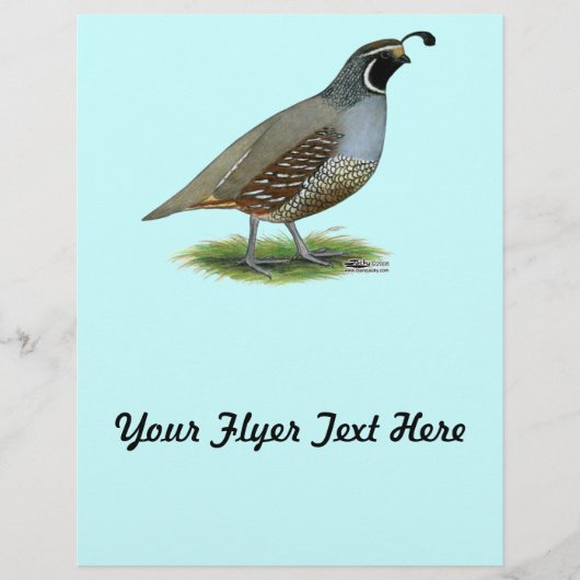 California Valley Quail Flyer (Voorkant)