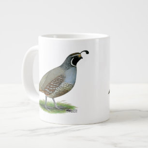 California Valley Quail Grote Koffiekop