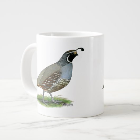 California Valley Quail Grote Koffiekop (Links)