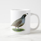 California Valley Quail Grote Koffiekop (Rechts)