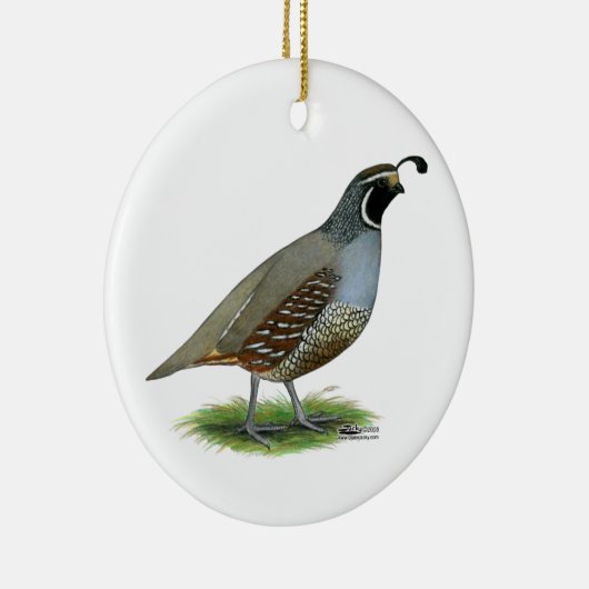 California Valley Quail Keramisch Ornament (Rechts)