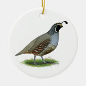California Valley Quail Keramisch Ornament (Voorkant)