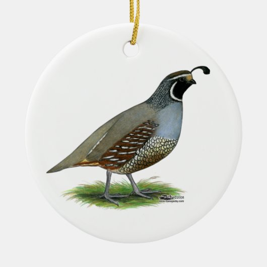 California Valley Quail Keramisch Ornament (Voorkant)
