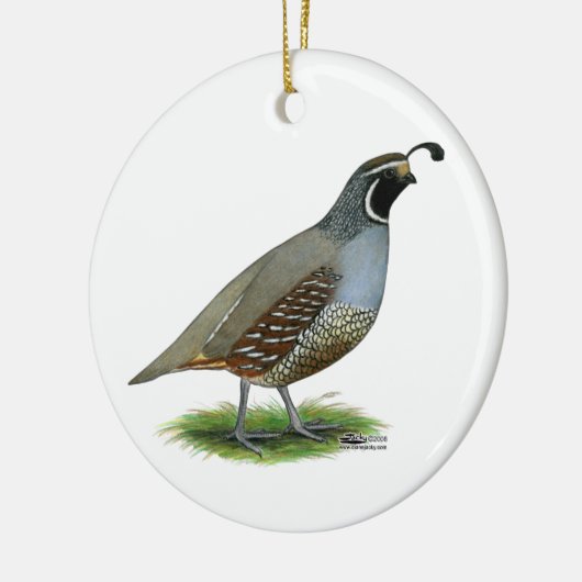 California Valley Quail Keramisch Ornament (Links)