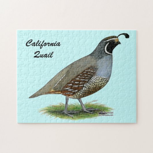 California Valley Quail Legpuzzel (Horizontaal)