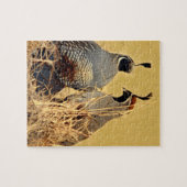 California Valley Quail Legpuzzel (Horizontaal)