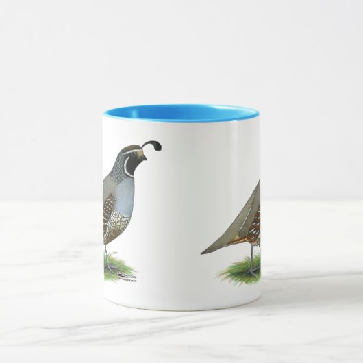 California Valley Quail Mok (Midden)