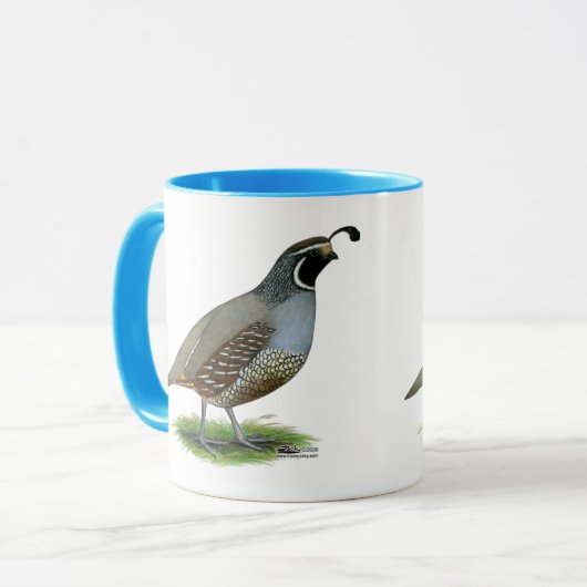 California Valley Quail Mok (Voorkant links)