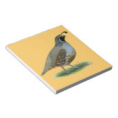 California Valley Quail Notitieblok (Schuin)