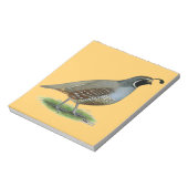 California Valley Quail Notitieblok (Linkerzijde)