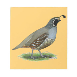 California Valley Quail Notitieblok