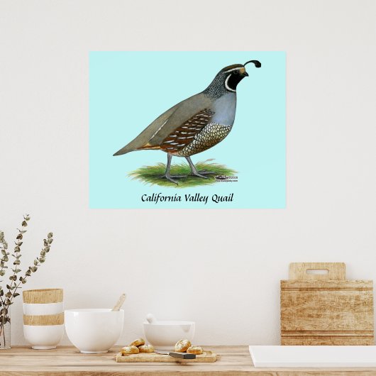 California Valley Quail Poster (Keuken)