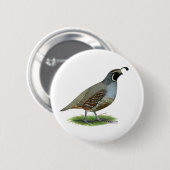 California Valley Quail Ronde Button 5,7 Cm (Voorkant /achterkant)