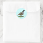 California Valley Quail Ronde Sticker (Tas)