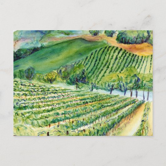 California Vineyard Briefkaart (Voorkant)
