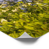 California Vineyard en Purple Flowers Poster (Hoek)