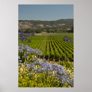 California Vineyard en Purple Flowers Poster