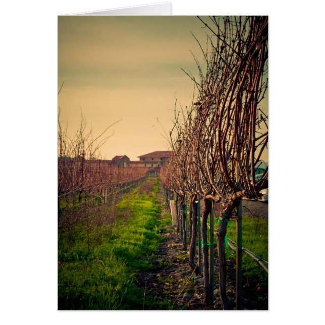 California Vineyards (Voorkant)