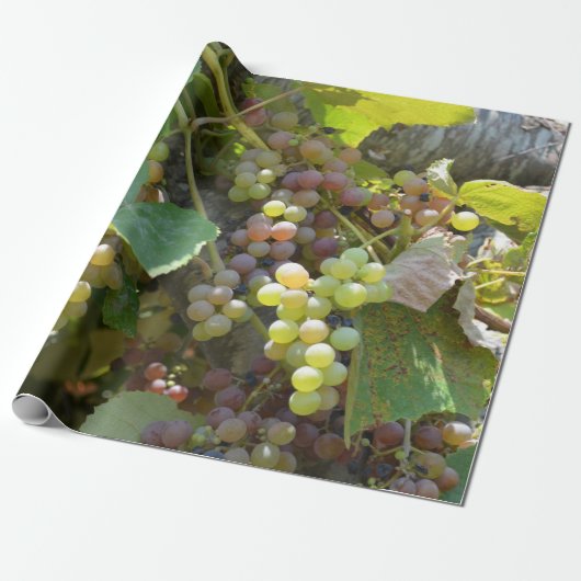 California Vineyards Cadeaupapier (Uitgerold)