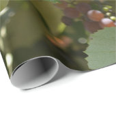 California Vineyards Cadeaupapier (Rol Hoek)