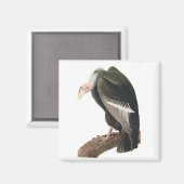 California Vulture (Condor), Audubon Fine Art Magneet (Voorkant / Achterkant)