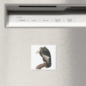 California Vulture (Condor), Audubon Fine Art Magneet (Insitu (Vaatwasser))