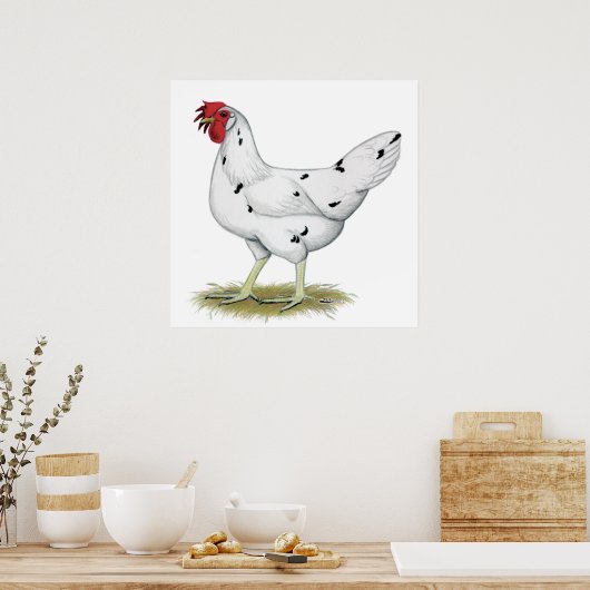 California White Hen Poster (Keuken)