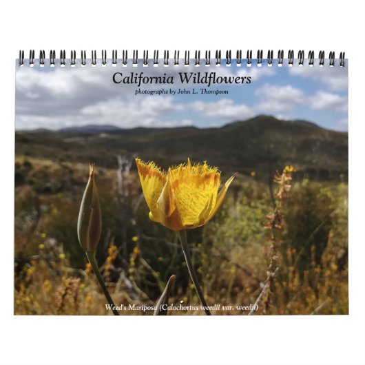 California Wildbloemkalender Kalender (Hoes)