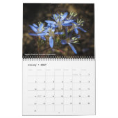 California Wildbloemkalender Kalender (Jan 2027)