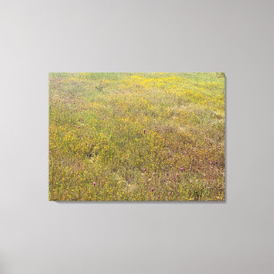 California Wildflower Impressions Canvas Afdruk
