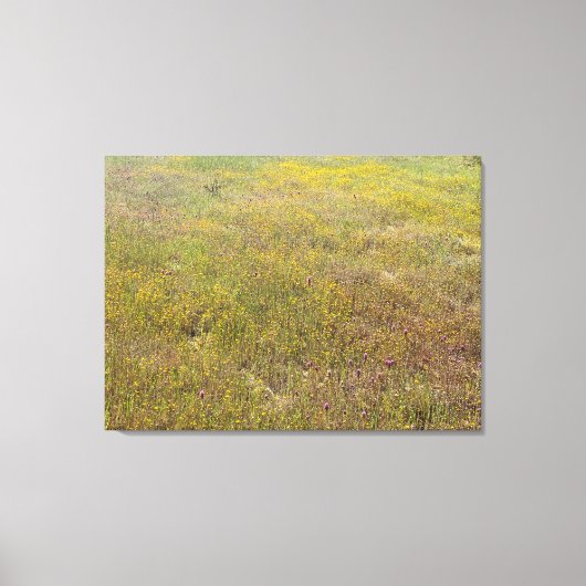 California Wildflower Impressions Canvas Afdruk (Voorkant)