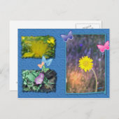 California Wildflower Post Card Briefkaart (Voorkant / Achterkant)