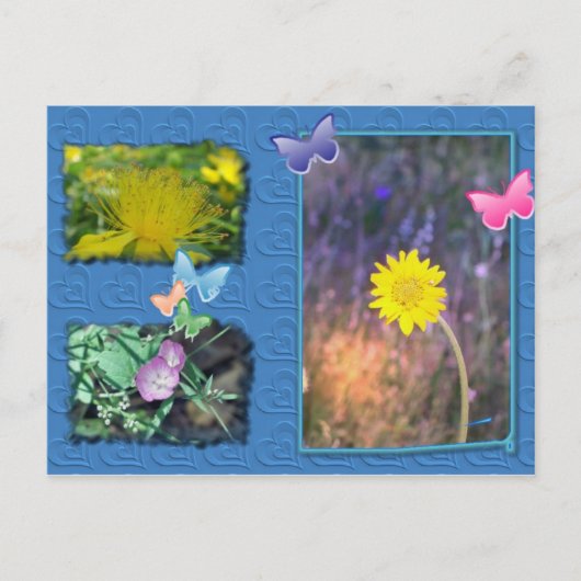 California Wildflower Post Card Briefkaart (Voorkant)