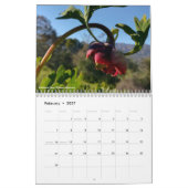 California Wildflowers 2020 Kalender (Feb 2027)