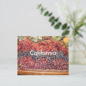 California Winery Briefkaart (Staand voorkant)