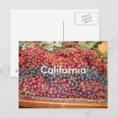California Winery Briefkaart (Voorkant / Achterkant)