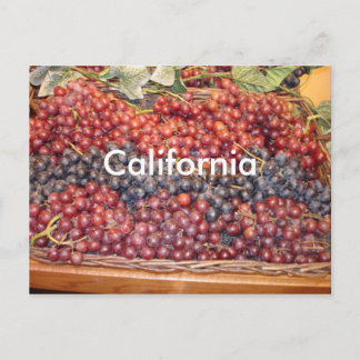 California Winery Briefkaart