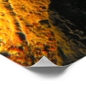 California Zee Cucumber Love - Fine Art Prints (Hoek)