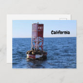 California Zee Lion Briefkaart (Voorkant / Achterkant)
